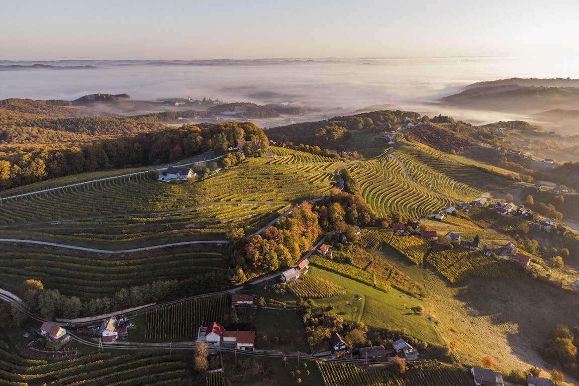 Vinorodna Štajerska